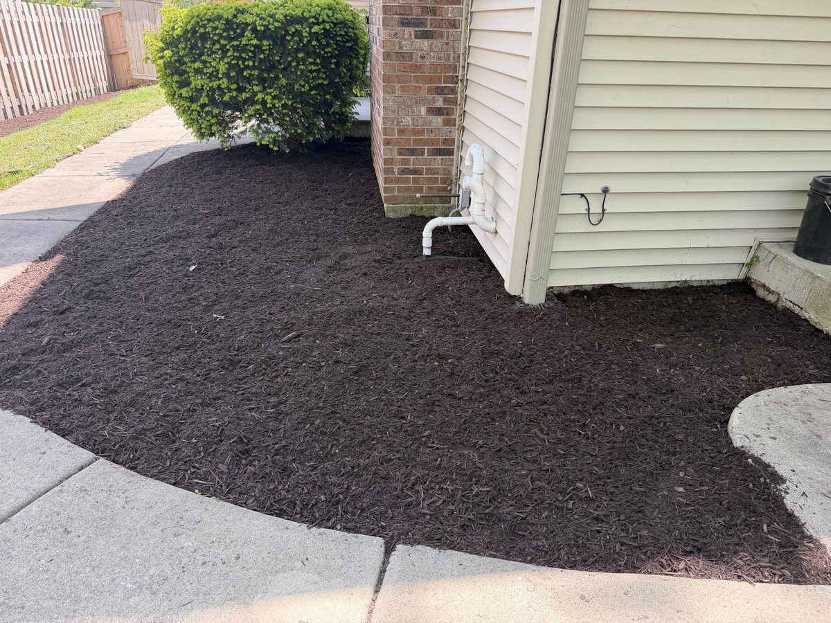 Garden bed cleanup
