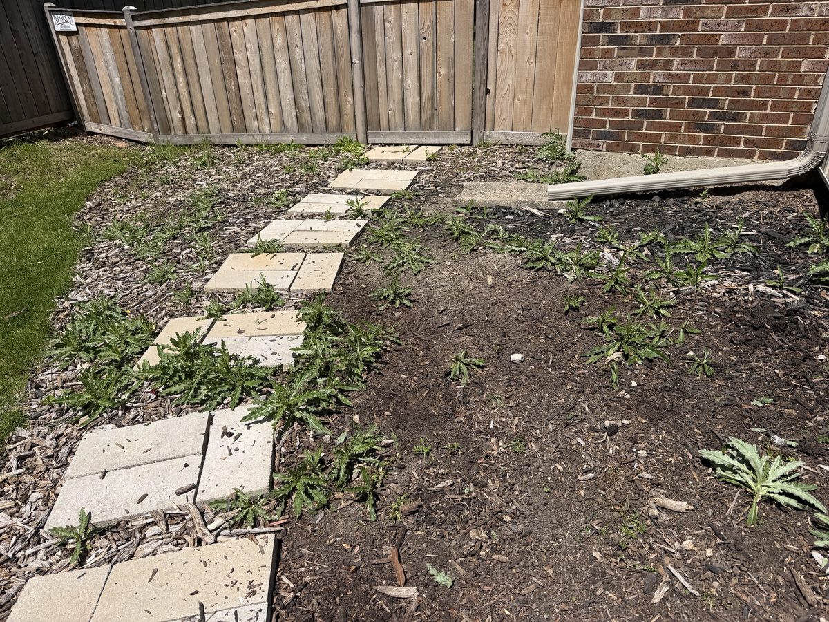 Before — weedy garden bed